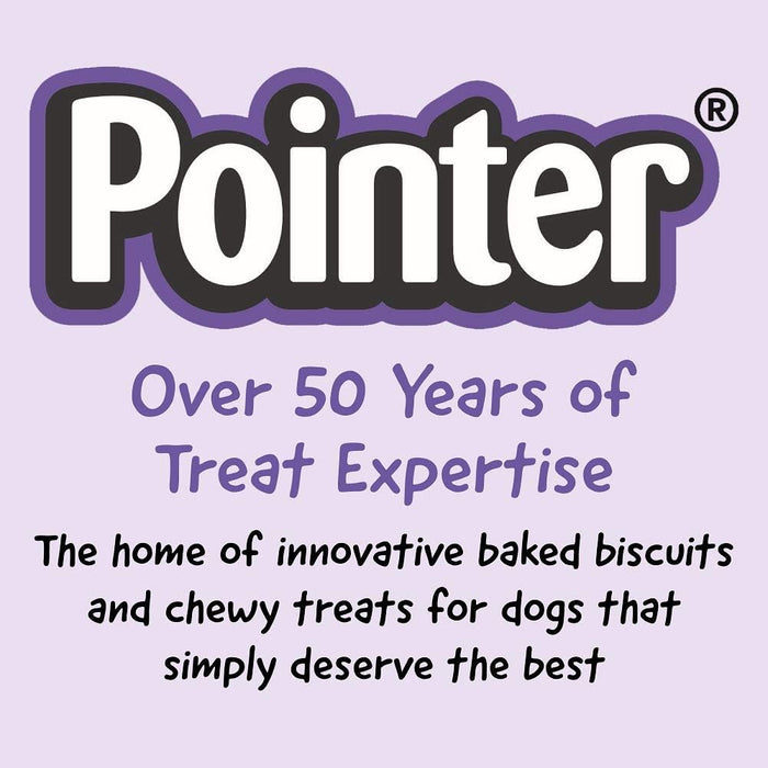 Pointer - Beef Flavoured Gravy Bones