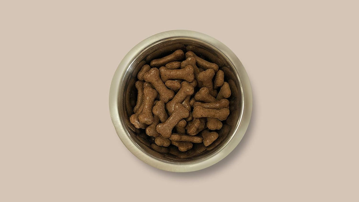 Pointer - Beef Flavoured Gravy Bones
