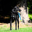 Chuckit Ultra Duo Tug Dog Toy