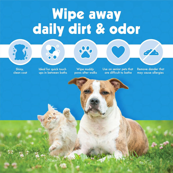 Petkin Big N' Thick Petwipes