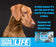 LIFE Pet XXL+ Cleaning Clothwipes