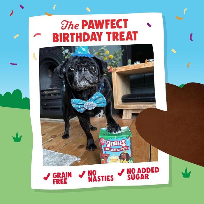 Denzel's Birthday Gift Box with Dog Treats