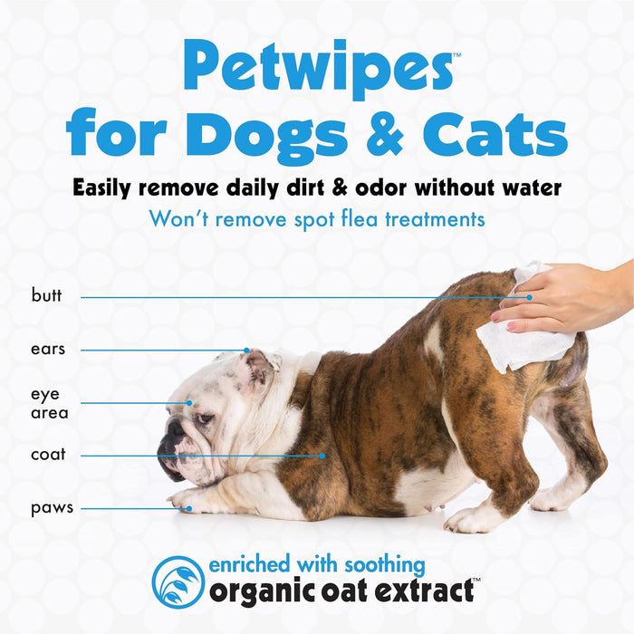 Petkin Big N' Thick Petwipes